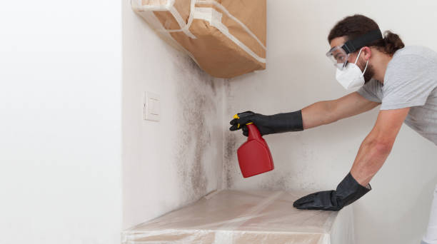 Professional Bathroom Mold Removal technician working in Knoxville, MD