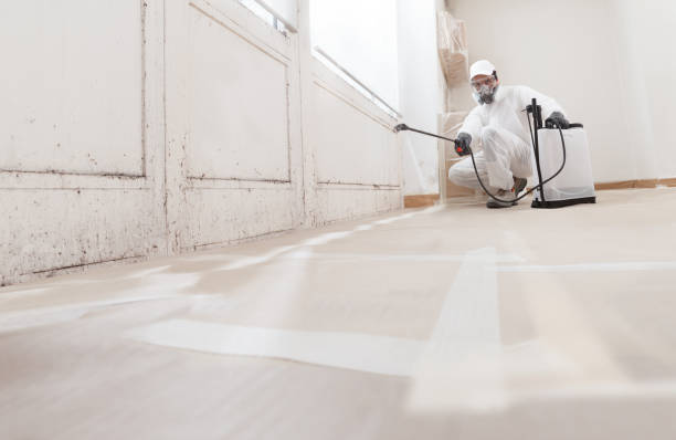 24/7 Emergency Bathroom Mold Removal experts in Knoxville, MD