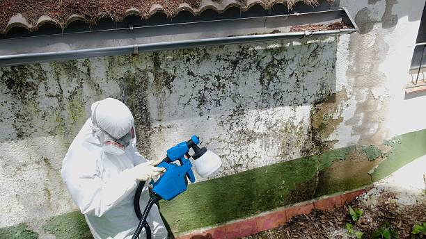 Top rated local Bathroom Mold Removal specialists in Knoxville, MD